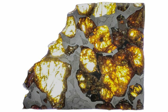 Polished Imilac Pallasite Meteorite (g) Slice #313645